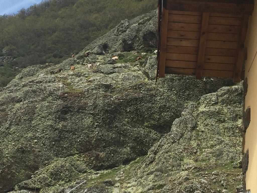 El Invernal De Picos Portilla de la Reina Eksteriør bilde