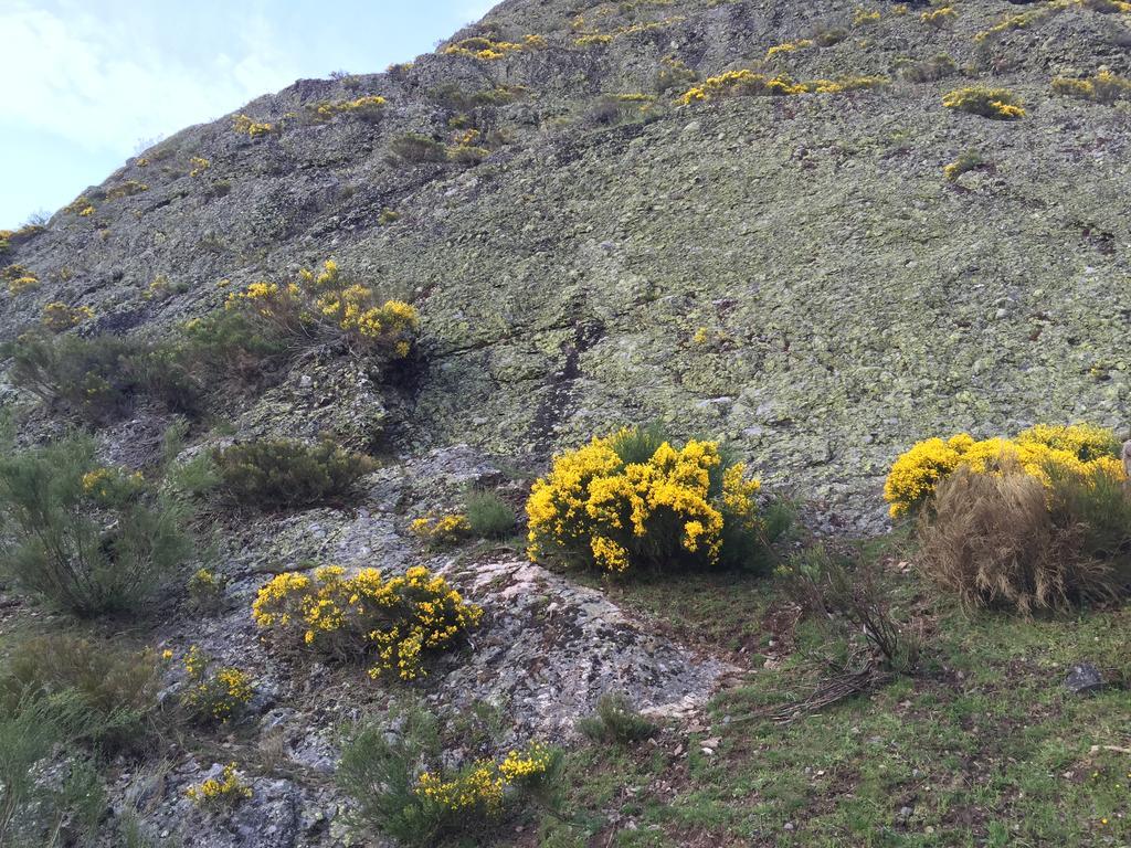 El Invernal De Picos Portilla de la Reina Eksteriør bilde