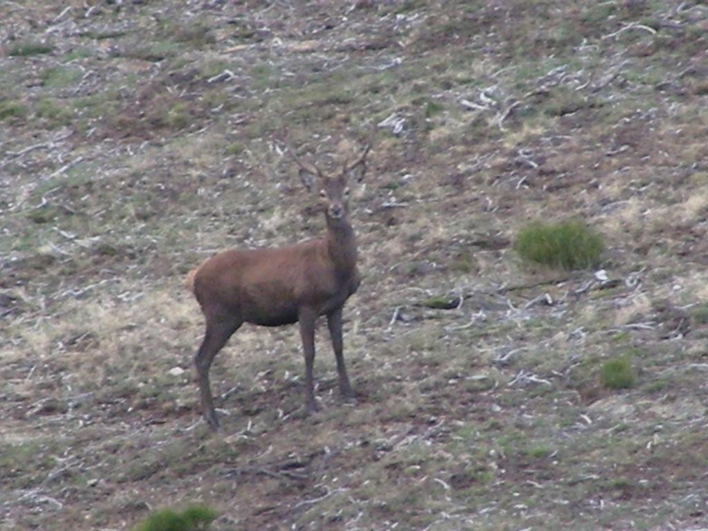 El Invernal De Picos Portilla de la Reina Eksteriør bilde