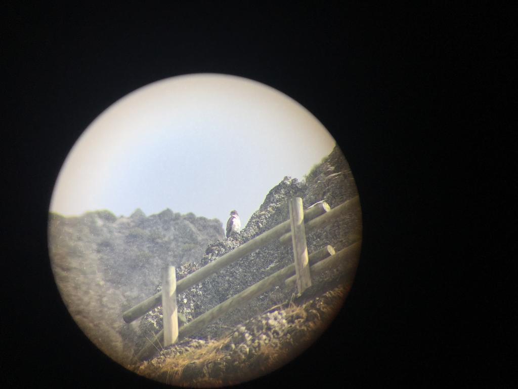 El Invernal De Picos Portilla de la Reina Eksteriør bilde